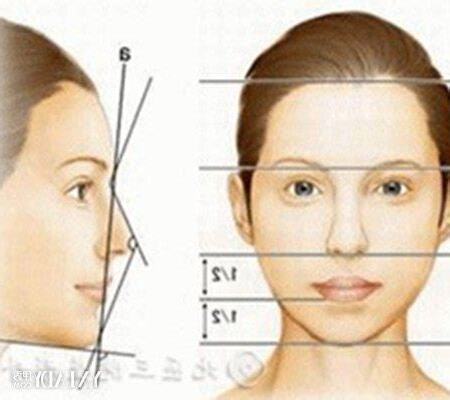 鼻子形狀 面相